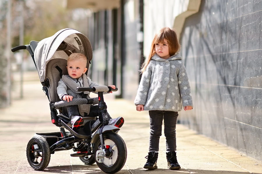 Lorelli Jaguar Deluxe Grey Driewieler 1005039-2102 14 Lorelli Jaguar Deluxe Grey Driewieler 1005039-2102 - Afbeelding 12