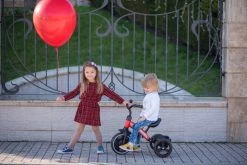 Lorelli Dallas Red Driewieler 1005050-004 -Jollein Winkel lorelli dallas driewieler 10