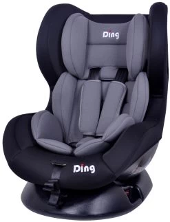 Ding Dano Zwart/Grijs Autostoel 0-18 Kg CS002