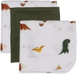 Blush & Blossom Dinosaurus Hydrofiel Starterset TR-BB443418 -Jollein Winkel muslin mouth cloths set dinosaur blush blossom 00