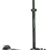 Scoot And Ride Forest Highwaykick 5 Step SR-96438