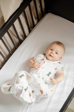 Blush & Blossom Dinosaurus 90 Cm Hydrofiel Slaapzak TR-BB443430 12 Blush & Blossom Dinosaurus 90 Cm Hydrofiel Slaapzak TR-BB443430 -Jollein Winkel tr bb443423 blush blossom dinosaurus 70 cm 01 2