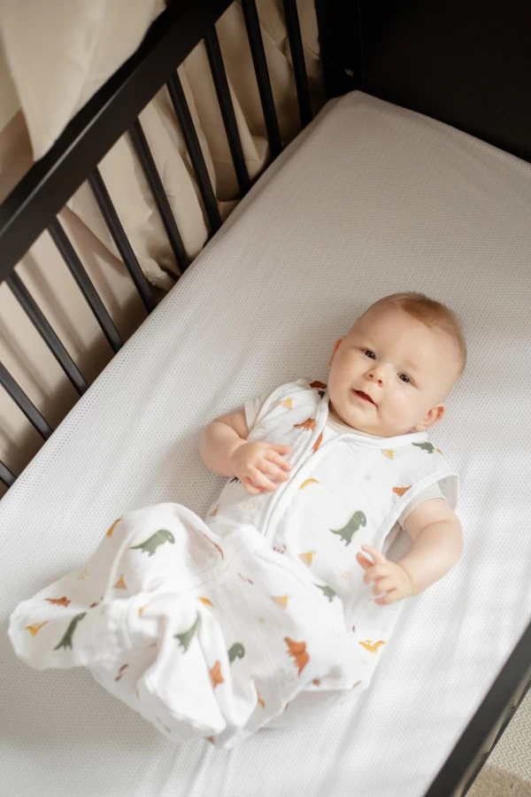 Blush & Blossom Dinosaurus 90 Cm Hydrofiel Slaapzak TR-BB443430 7 Blush & Blossom Dinosaurus 90 Cm Hydrofiel Slaapzak TR-BB443430 - Afbeelding 5